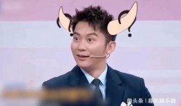 沈腾李晨最新爆料,揭秘娱乐圈幕后真相